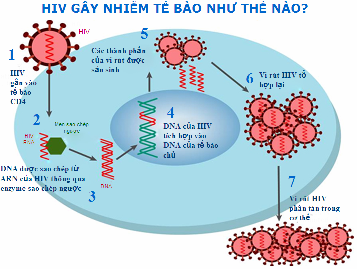đường lây truyền