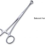 Kẹp Babcock PMP